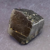 ロシア産 ノーブルシュンガイト　エリートシュンガイト　原石 21.4g (ID:93241)