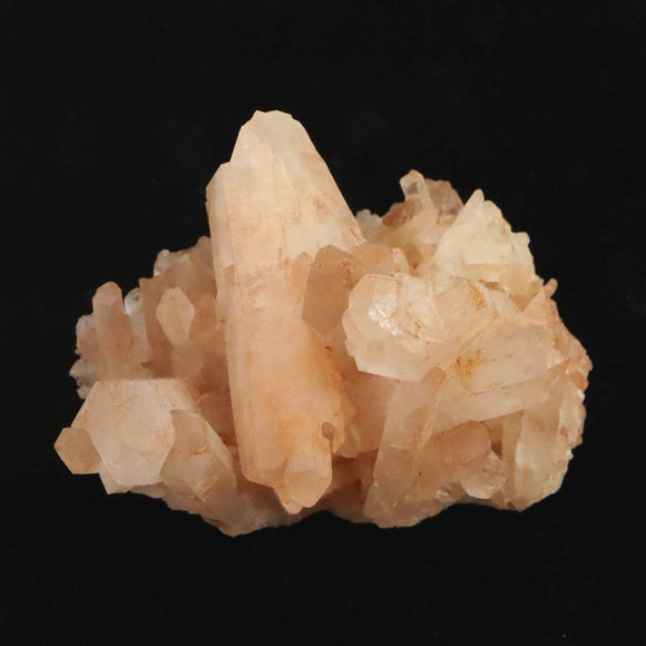 スギライト 原石 11.27g (ID:46984) | 榎本通商