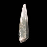 ガネーシュヒマール産 ヒマラヤ水晶  102mm原石 クローライト付 60.8g (ID:95069)