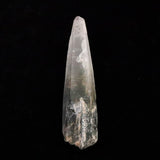ガネーシュヒマール産 ヒマラヤ水晶  102mm原石 クローライト付 60.8g (ID:95069)