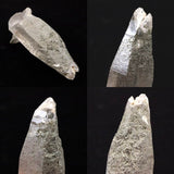 ガネーシュヒマール産 ヒマラヤ水晶  100mm原石 クローライト付 157g (ID:95345)