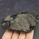 隠岐の島 黒曜石 原石  ディレクトリーカード付 135.7g (ID:95800)
