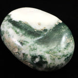 インド産　ツリーアゲート　55mmパームストーン 80g (ID:96383)