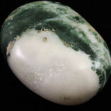 インド産　ツリーアゲート　55mmパームストーン 80g (ID:96383)