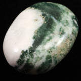 インド産　ツリーアゲート　55mmパームストーン 80g (ID:96383)