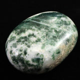 インド産　ツリーアゲート　55mmパームストーン 80g (ID:96383)