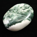 インド産　ツリーアゲート　55mmパームストーン 80g (ID:96383)