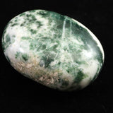 インド産　ツリーアゲート　55mmパームストーン 80g (ID:96383)