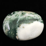 インド産　ツリーアゲート　55mmパームストーン 80g (ID:96383)