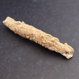 H&E社　サハラ砂漠産　フルグライト　　7.7g (ID:97982)