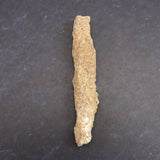 H&E社　サハラ砂漠産　フルグライト　　7.7g (ID:97982)