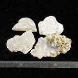 島根県大津島産　玉髄　カルセドニー 原石4個セット 80.1g (ID:98136)