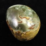 ムーアカイト モーカイト 54mmパームストーン 83g (ID:98930)