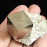 スペイン産 パイライト 黄鉄鉱  17mmキューブ 母岩付 50.7g (ID:13584)
