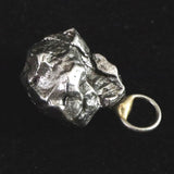 カンポ・デル・シエロ隕石 ペンダントトップ 3.87g (ID:25504)