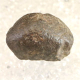 モロッコ産 コンドライト隕石 NWA石質隕石 2010年　21.57g (ID:28503)