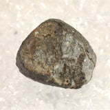 モロッコ産 コンドライト隕石 NWA石質隕石 2010年　16.75g (ID:34001)