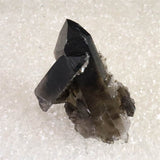 米国アーカンソー州産　黒水晶 モリオン　クラスター　証明書付 75.5g (ID:38129)
