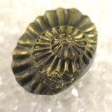 アンモナイト パイライト 化石  8.5g (ID:55763)