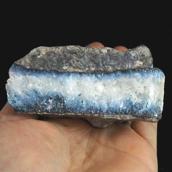 57898a_grande.jpg?v=1709045407