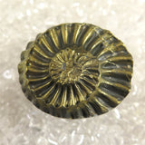 アンモナイト パイライト 化石  12.8g (ID:66677)