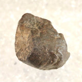 モロッコ産 コンドライト隕石 NWA石質隕石 2010年　20.90g (ID:66723)