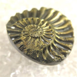 アンモナイト パイライト 化石  9.3g (ID:69295)