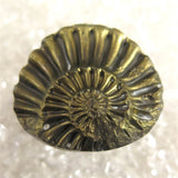 アンモナイト パイライト 化石  9.3g (ID:69295)
