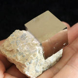 スペイン産 パイライト 黄鉄鉱  19mmキューブ 母岩付 59.4g (ID:80710)