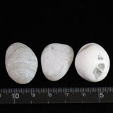 北海道 上ノ国メノウ 瑪瑙 原石  3個セット 27.5g (ID:89170)