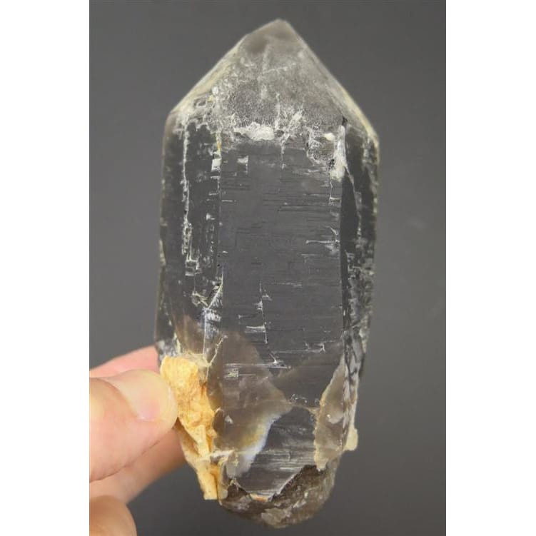 岐阜県 蛭川産 煙水晶（スモーキー・クォーツ） (ID:827760) | 榎本通商