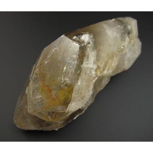 ロシアンレムリアン  DT ロシアンレムリアン DT ロシアンレムリアン DT ロシアンレムリアン③