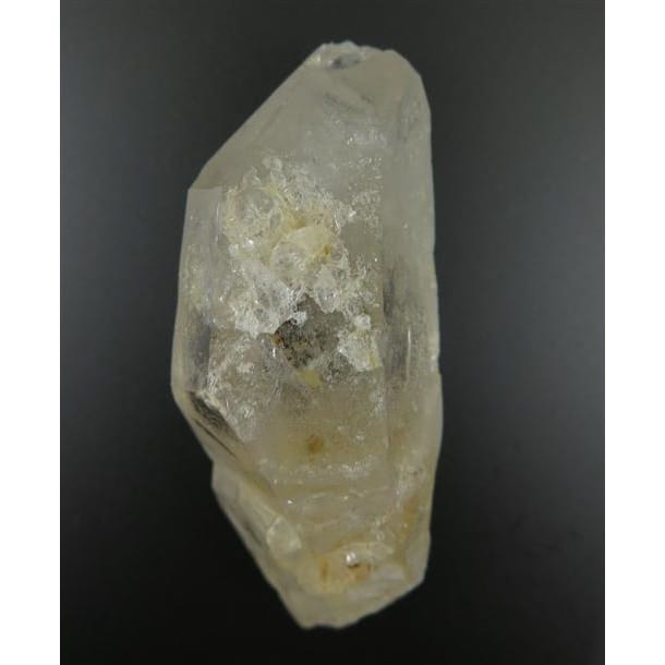 ロシアンレムリアン  DT ロシアンレムリアン DT ツイン