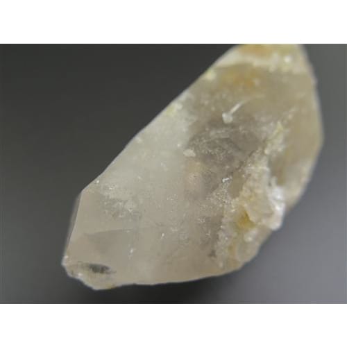 ロシアンレムリアン  DT ロシアンレムリアン DT