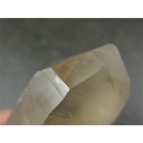 ロシアンレムリアンスモーキー